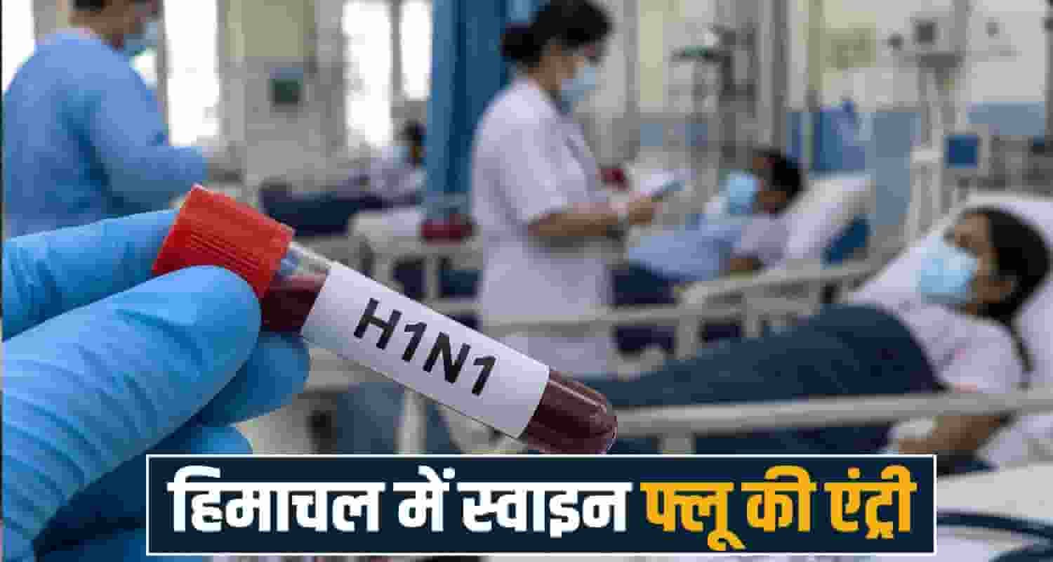 Swine flu h1n1 tanda medical college kangra cases himachal hospital
