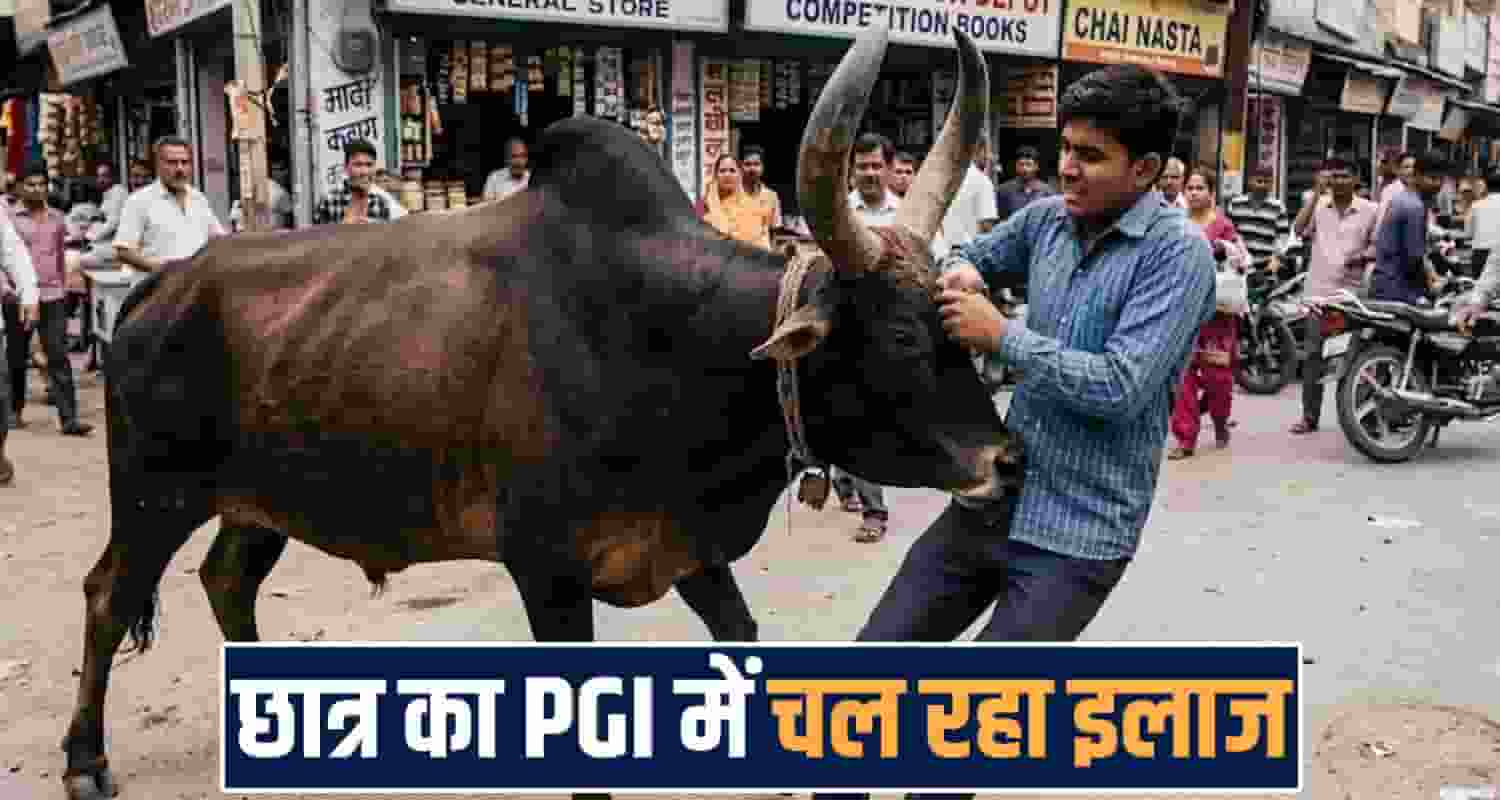 road bull 11th class student training course jawali kangra pgi chandigarh surgery