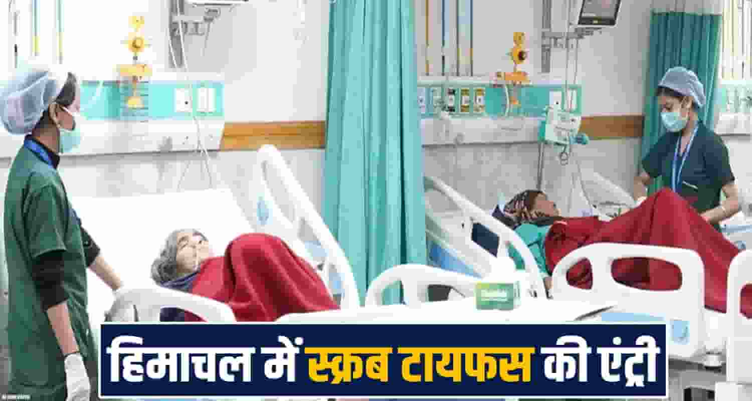 himachal-scrub-typhus-cases-rise-in-kullu-sainj-health-department-alert