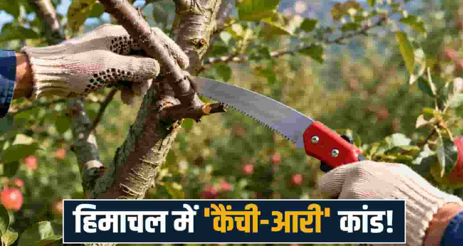 RTI Purchase Panchayati Raj Government Watershed Funds Apple Farming Kinnaur Kalpa