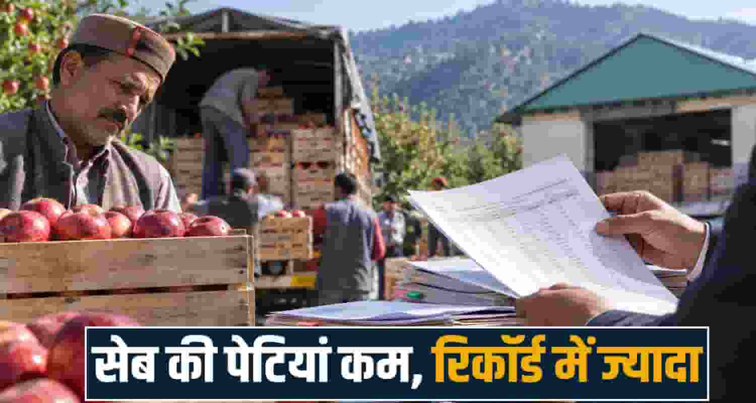 apple procurement scam mis scheme hpmc mandi himachal government