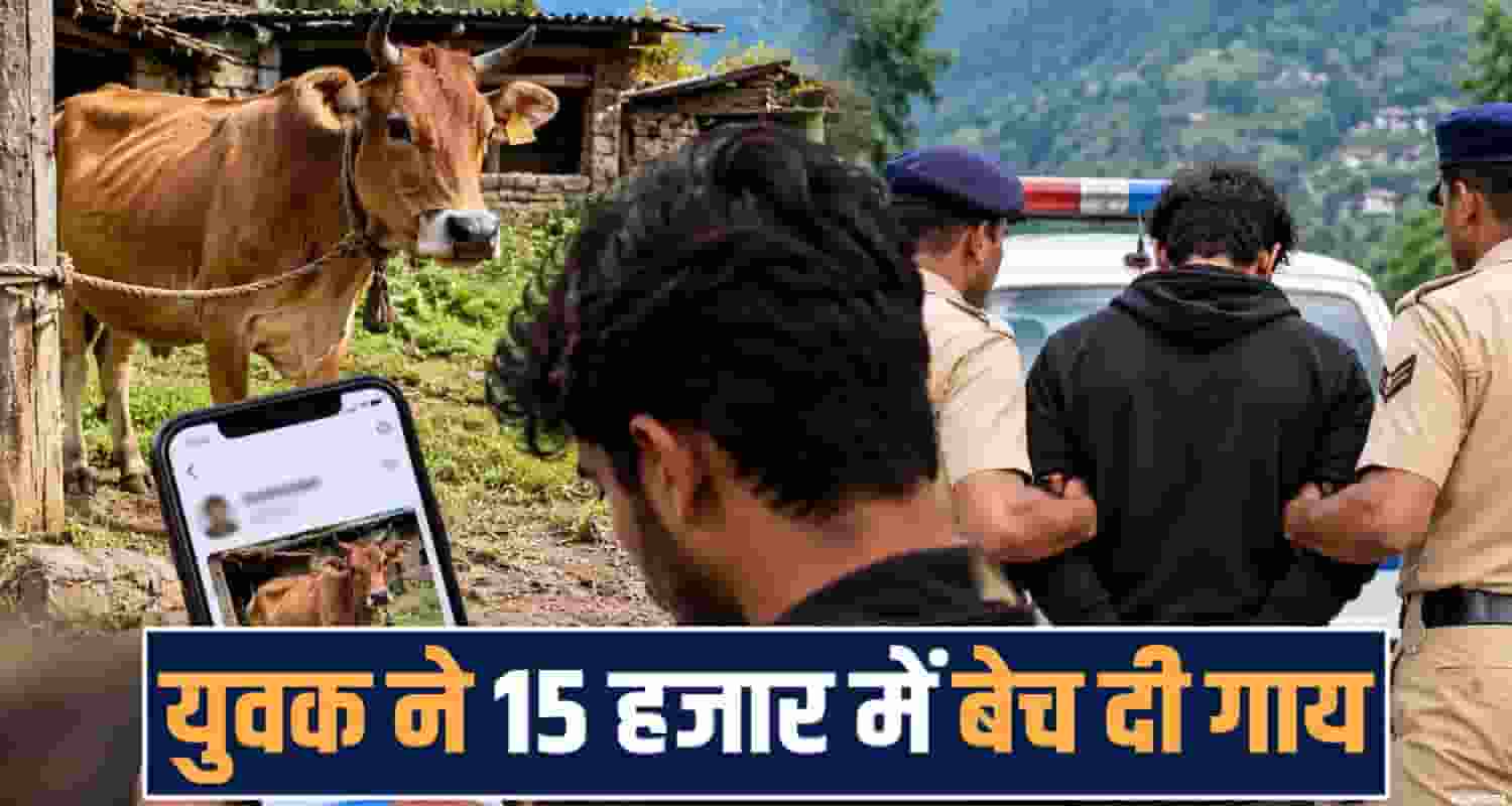 kangra boy cow theft social media deal 15 thousand rupees himachal police