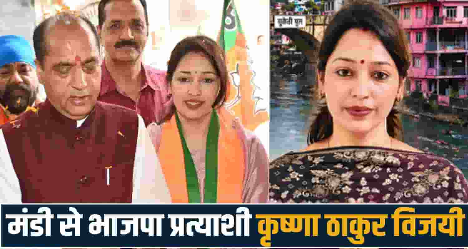 himachal election municipal corporation election mandi news kaul singh thakur