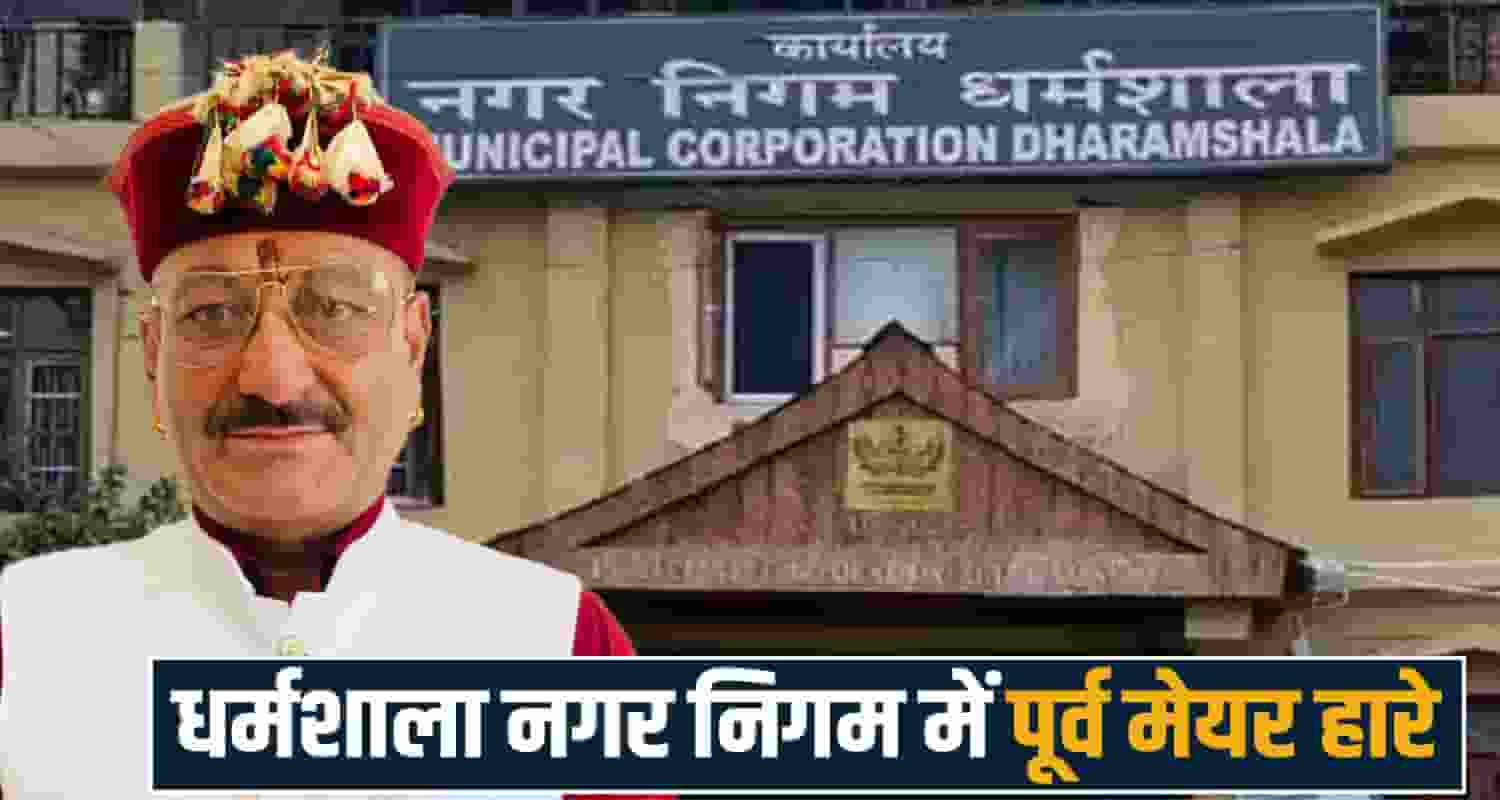 himachal news municipal election dharamshala result  ward result