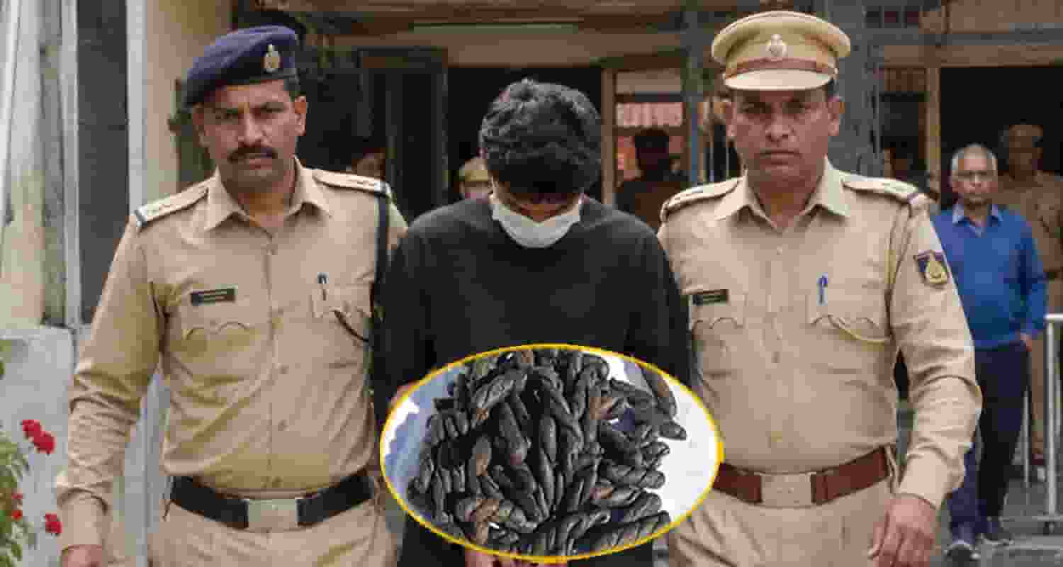 charas smuggler shimla court punishment himachal police case