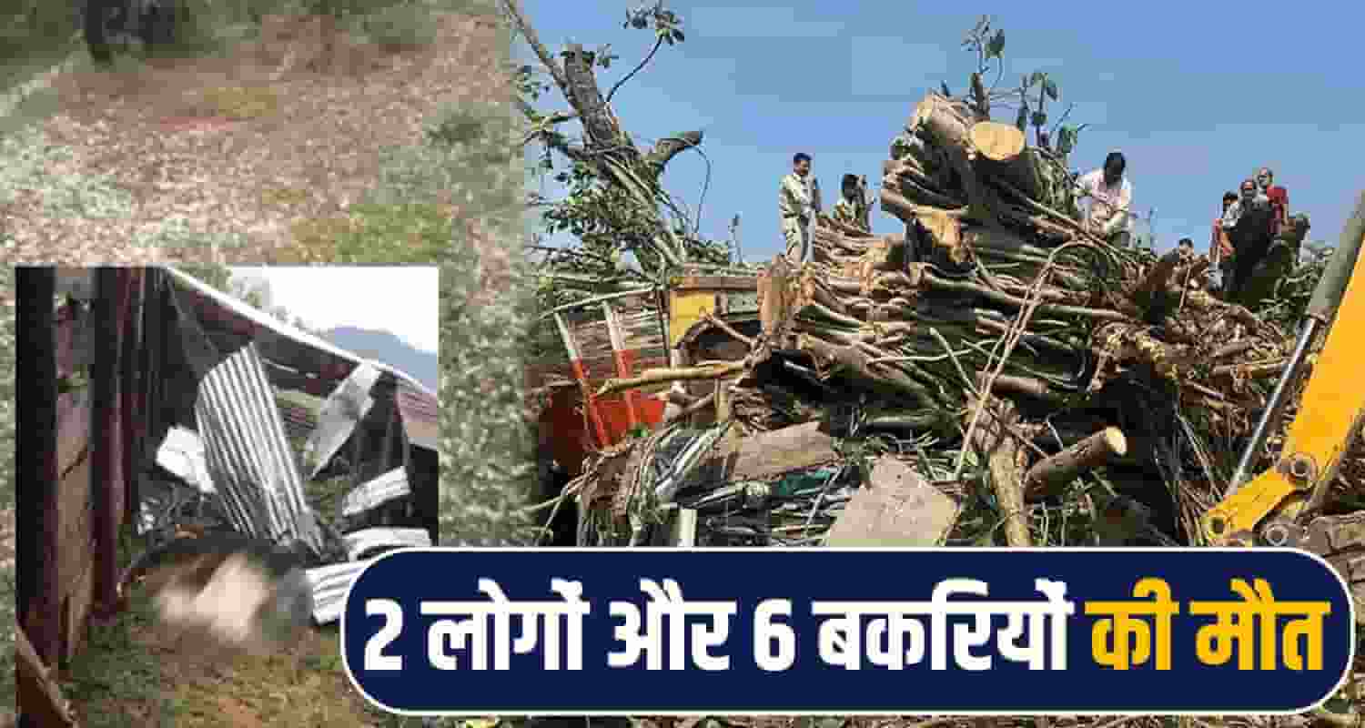 kangra storm