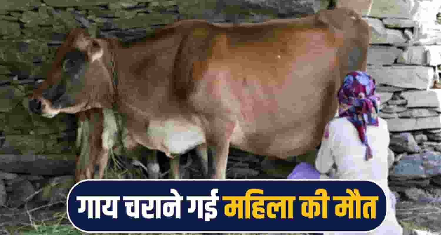 woman dies chamba,