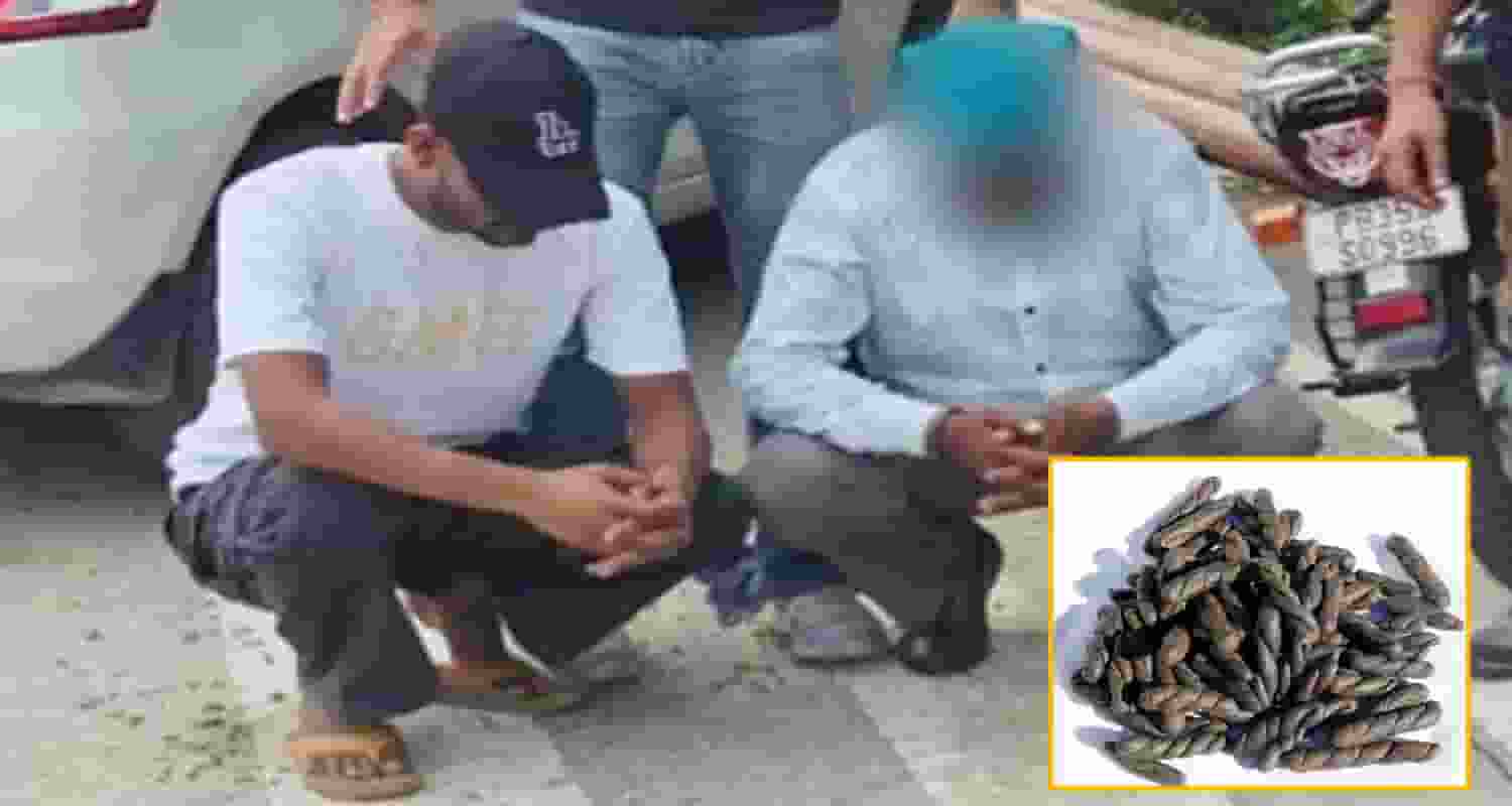 two boys charas smugglers motorcycle kangra police himachal case