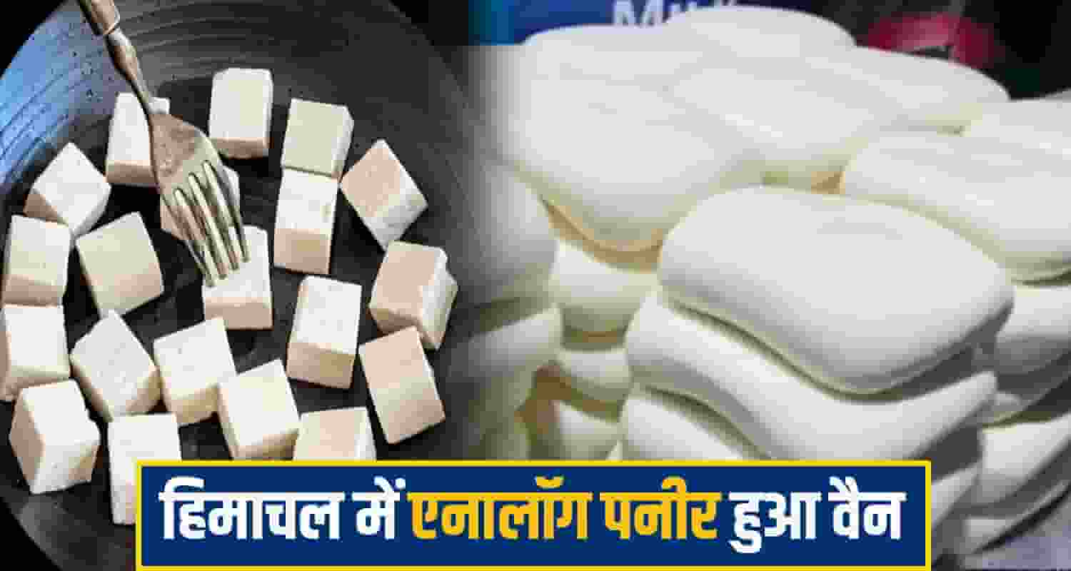 aanlog paneer himachal