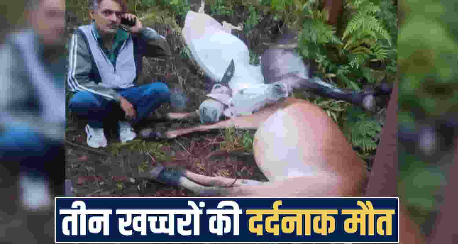 Himachal Pradesh News