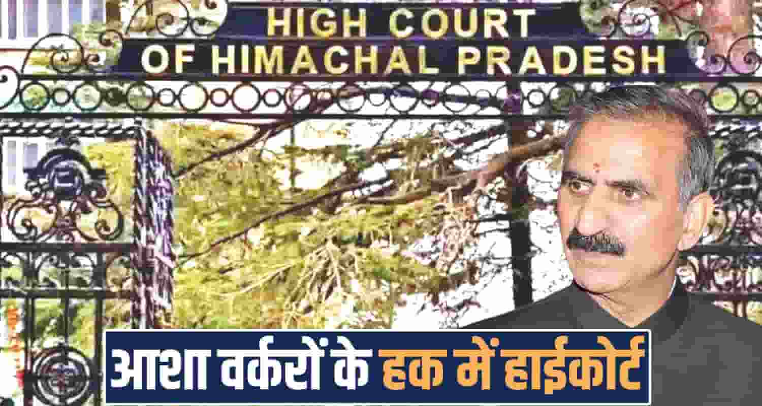 hc stays ban asha workers contesting elections panchayats himachal government