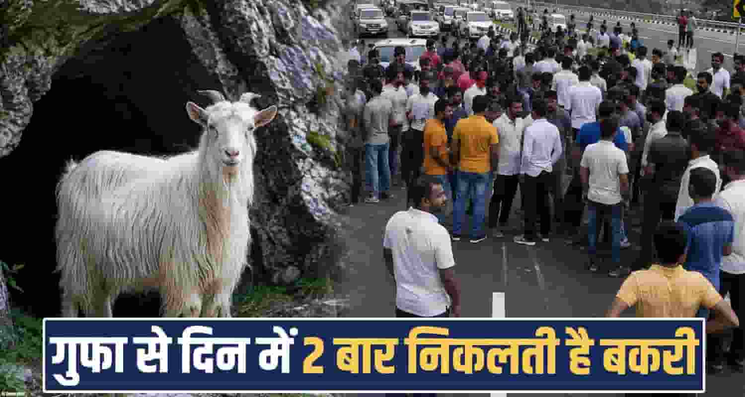 goat cave people belief kullu crowd himachal jogani mata