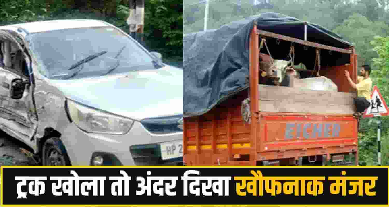 Himachal Pradesh Cow Smuggling