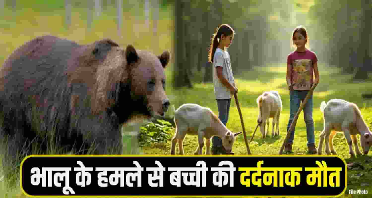 Chamba Bear Attack