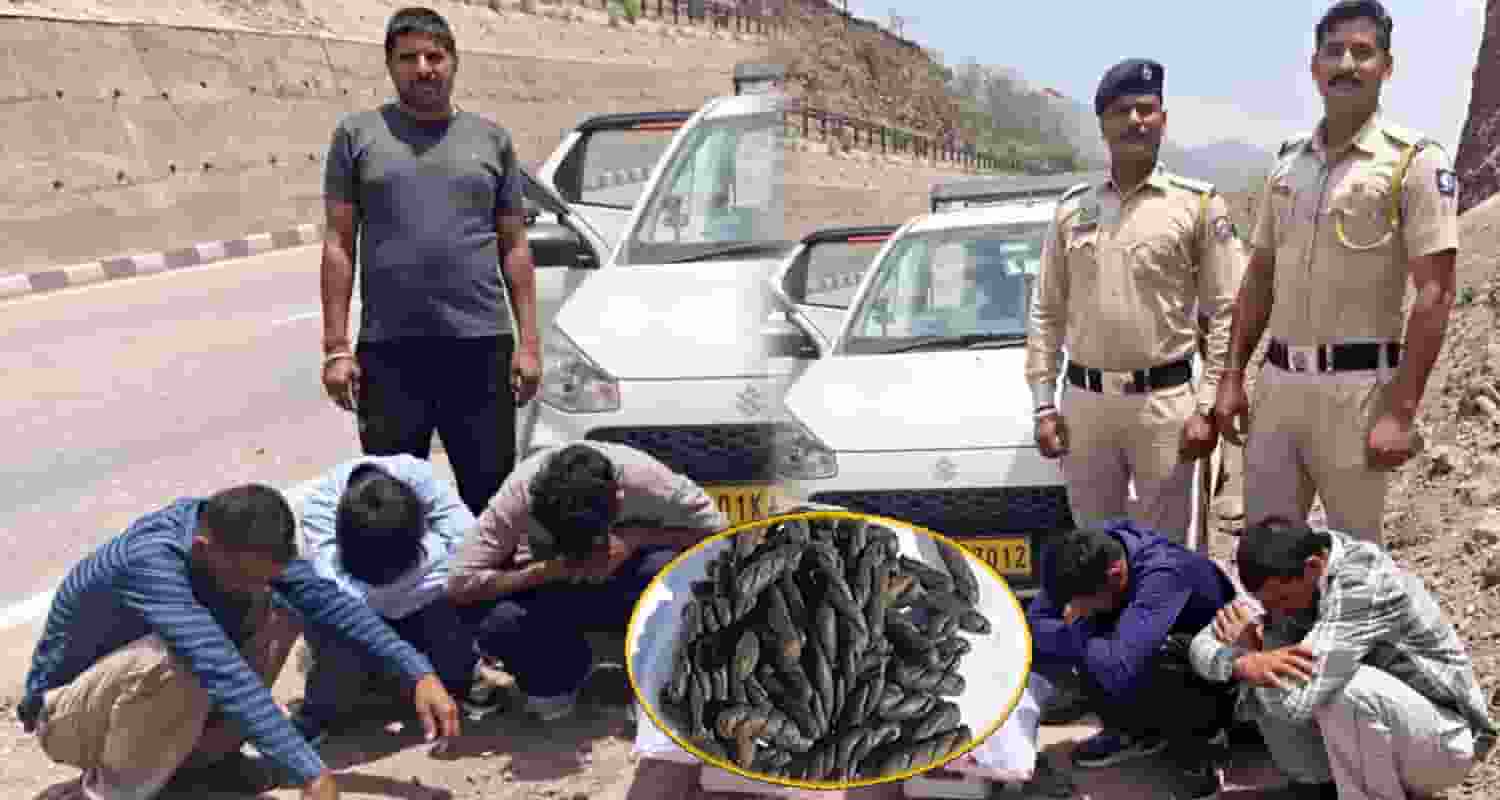 charas smugglers five boys arrested mandi punjab himachal border police panchayat election