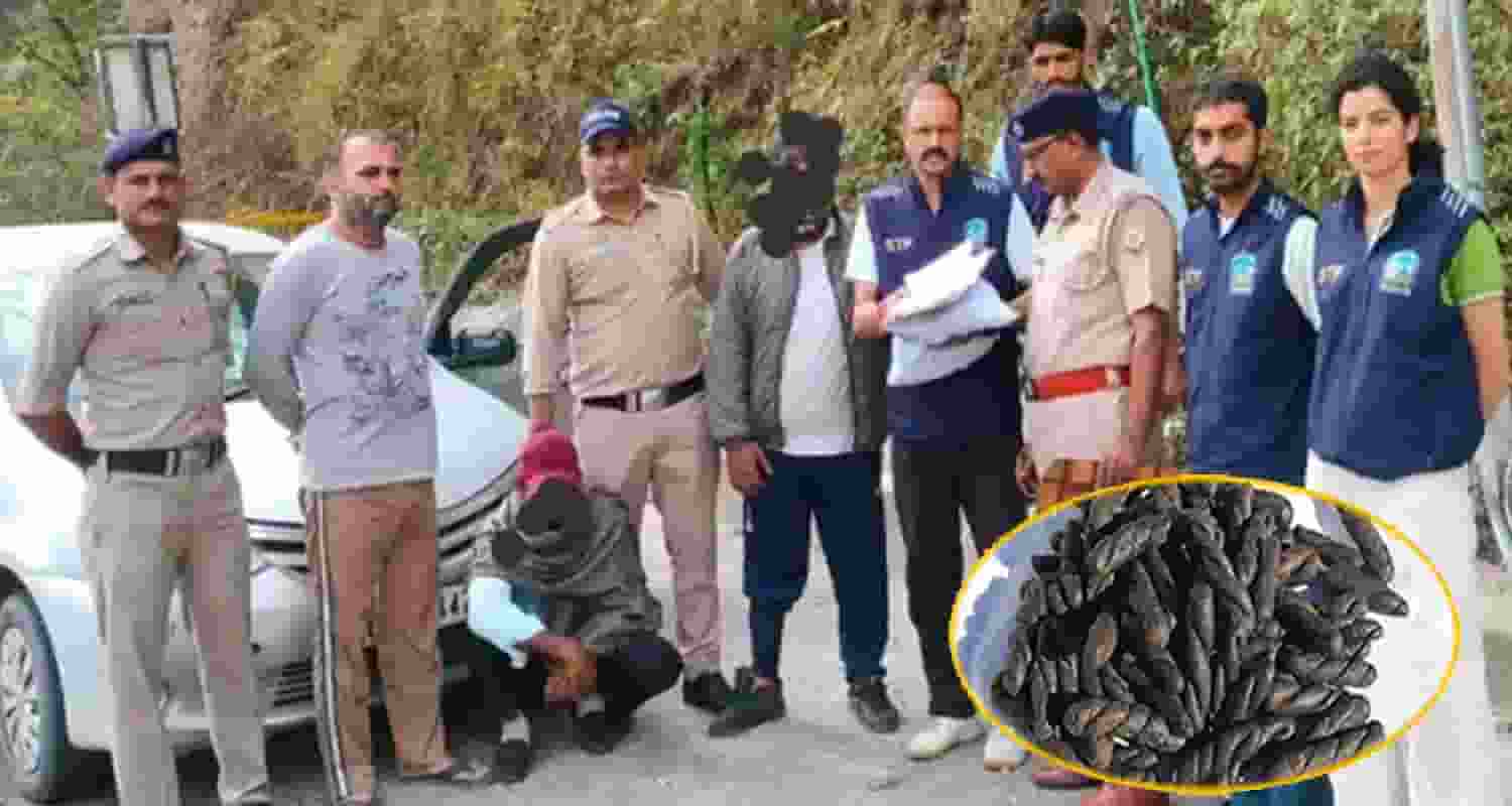 mandi police arrest two punjab men charas bindrabani himachal kullu