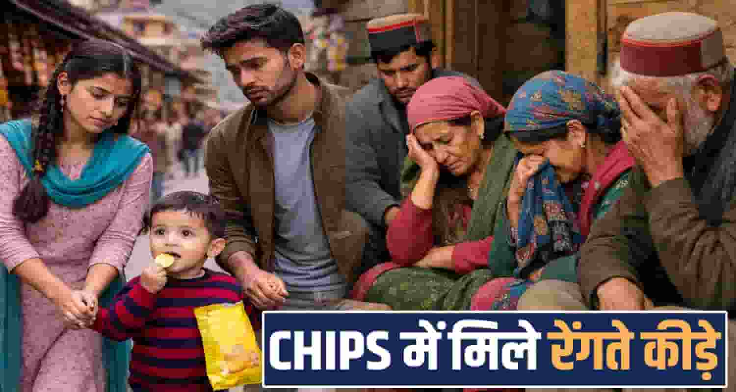 FAMOUS COMPANY CHIPS PACKET WORMS HAMIRPUR NADAUN HIMACHAL