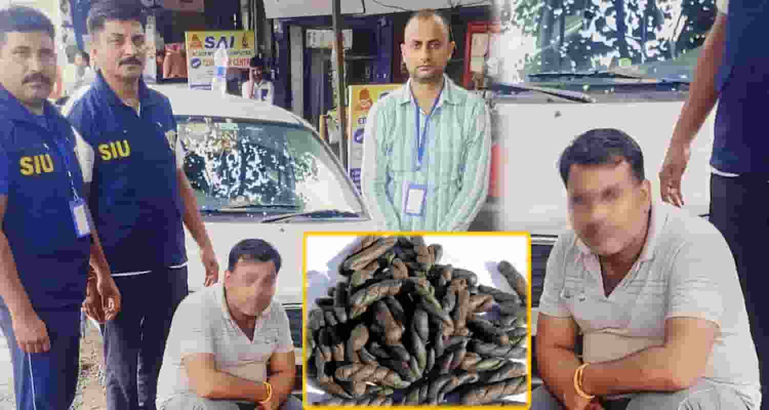 Himachal Pradesh News