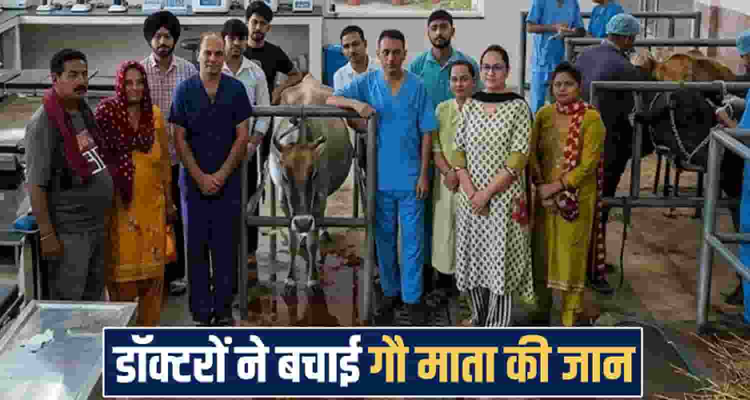 Animal Hospital