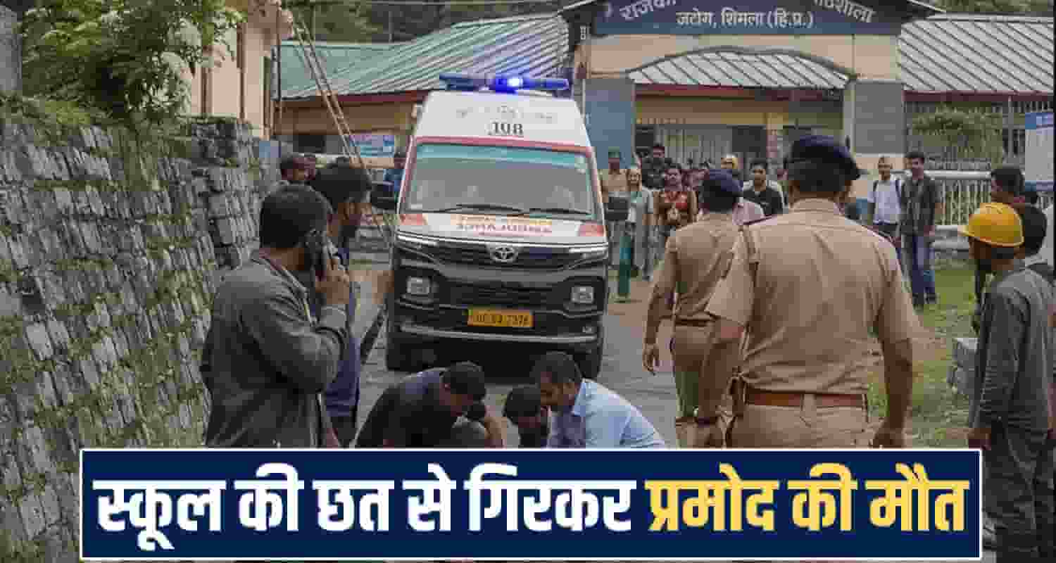 himachal shimla news 