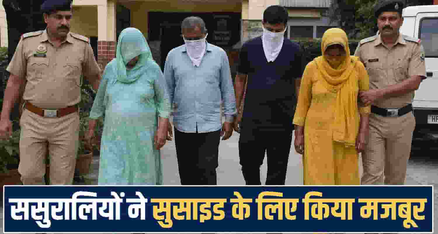 himachal mandi news 