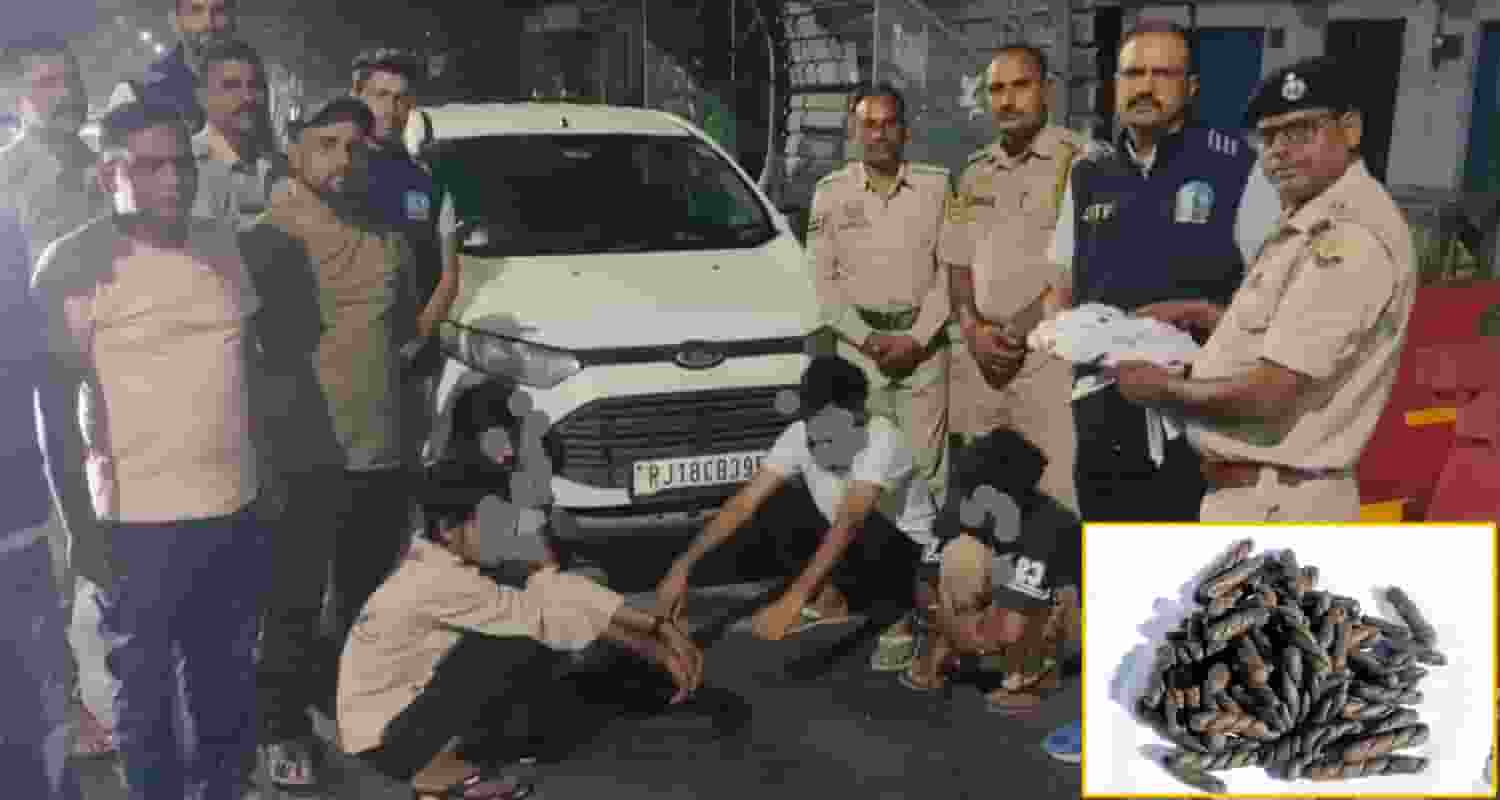 himachal  Drug Smuggler