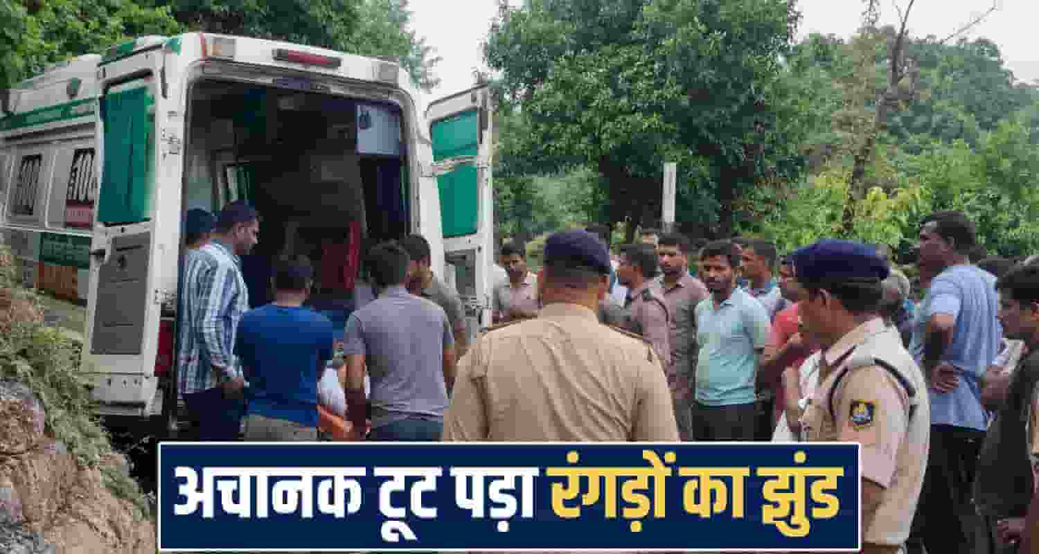himachal kangra news 