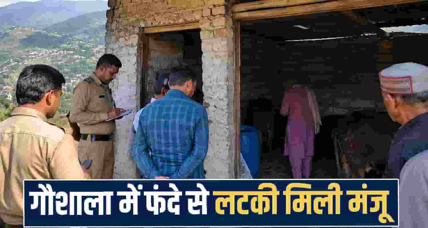himachal shimla news