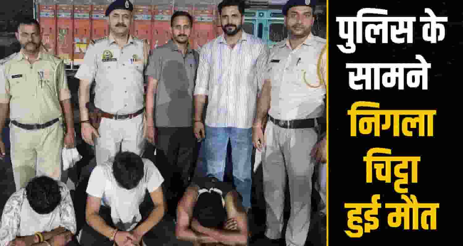 himachal shimla news 