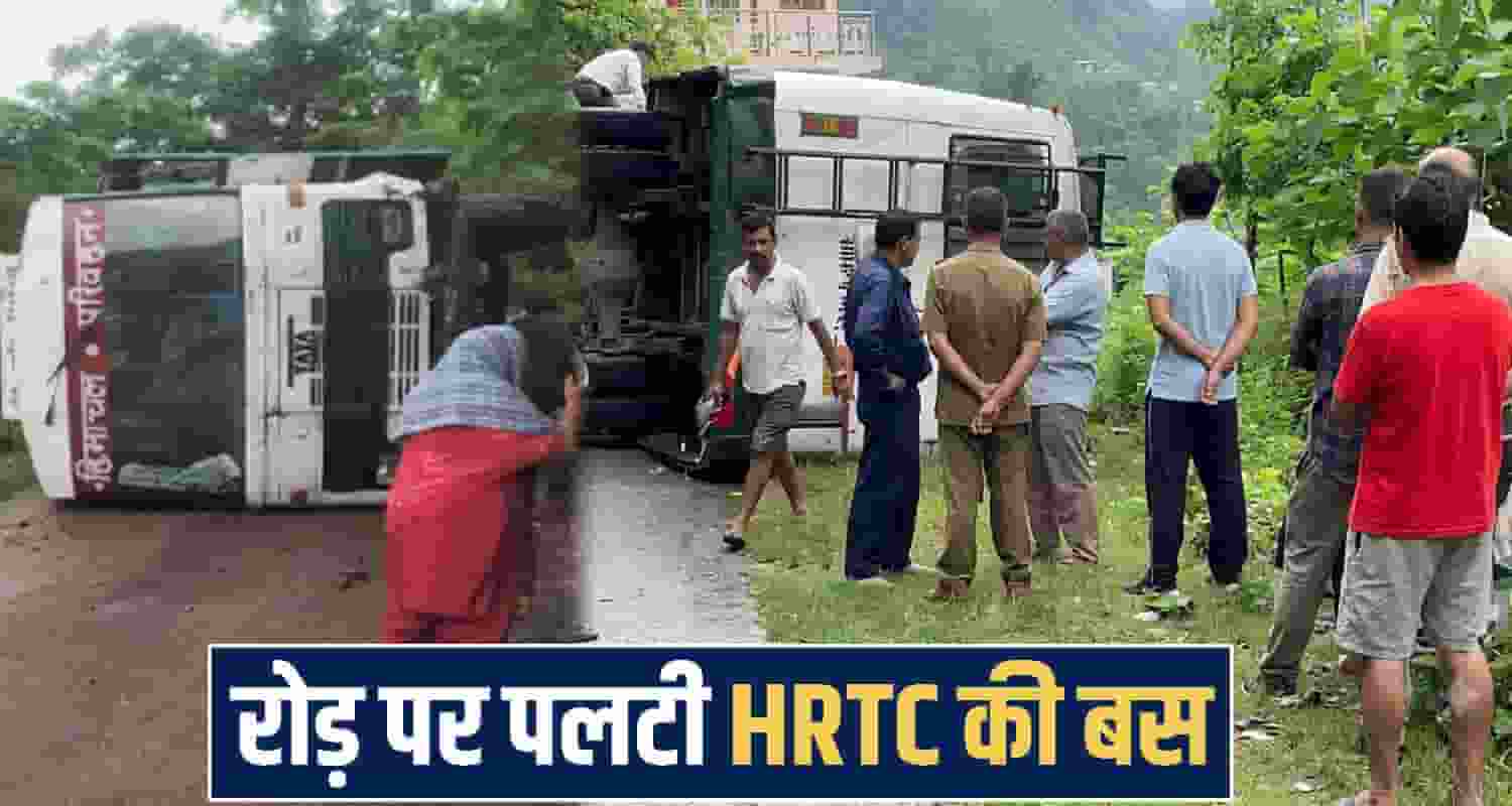 himachal mandi news 