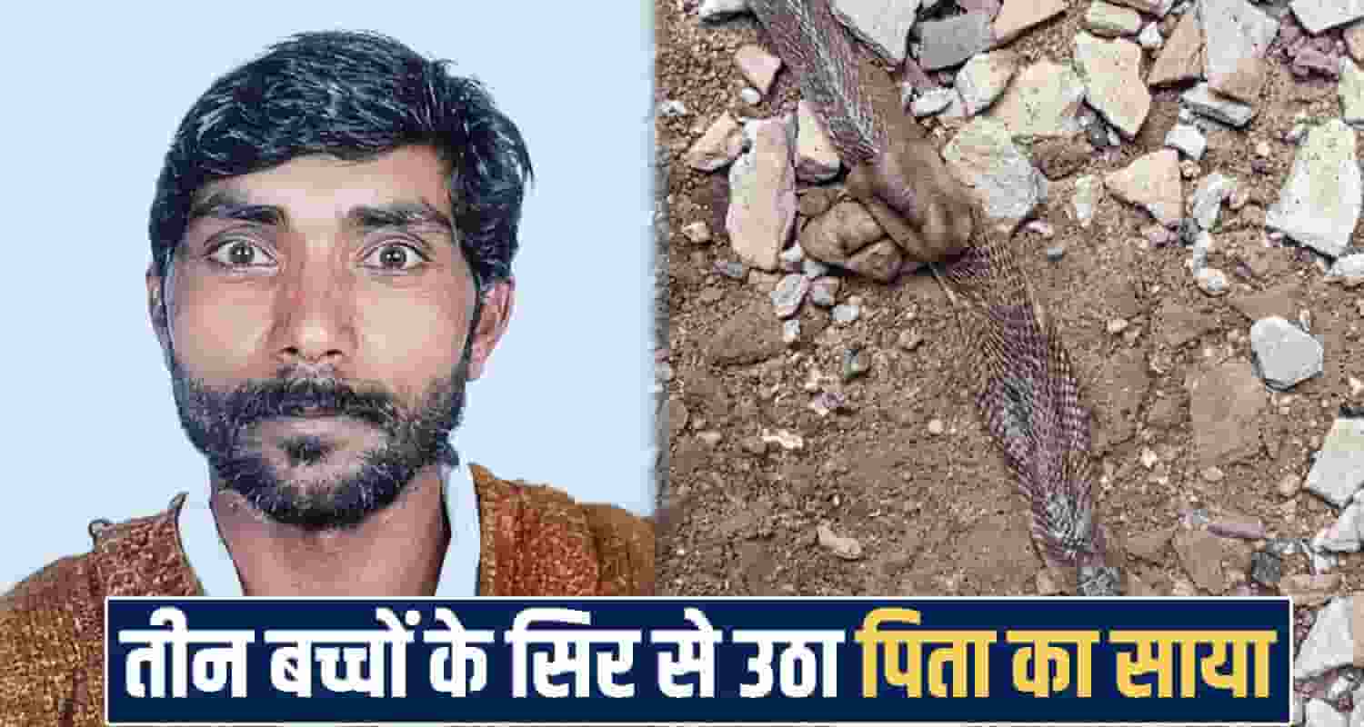 Himachal news 