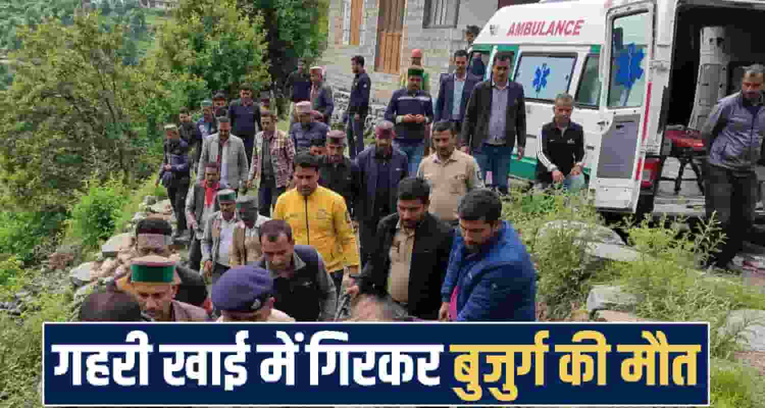 himachal shimla news 