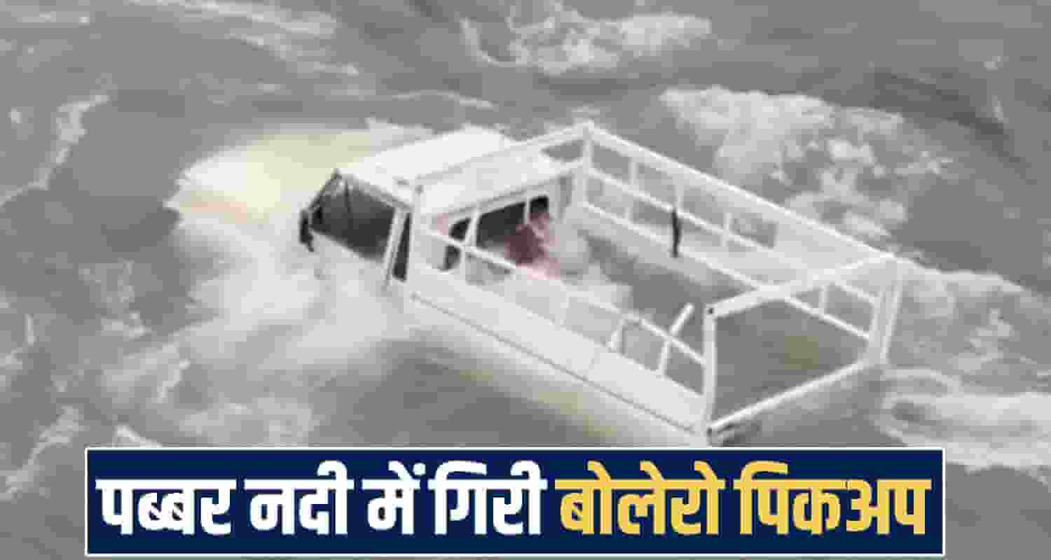 himachal shimla news 
