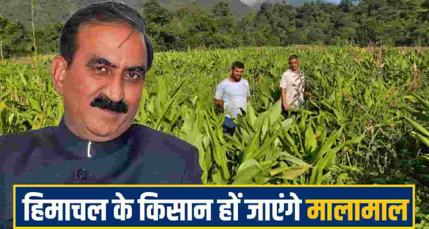  Himachal Pradesh Agriculture