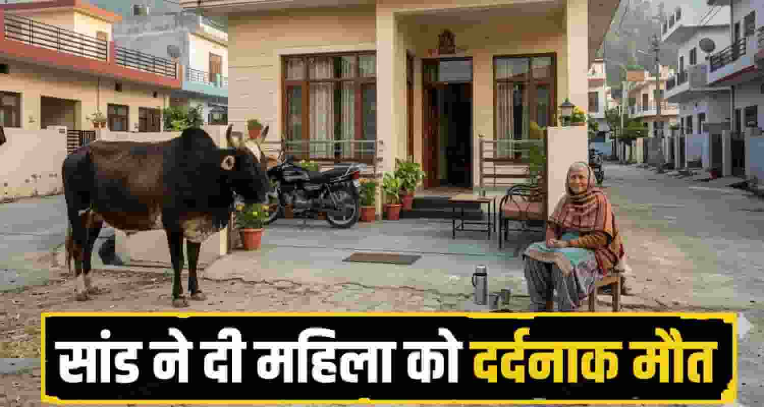 himachal Hamirpur News