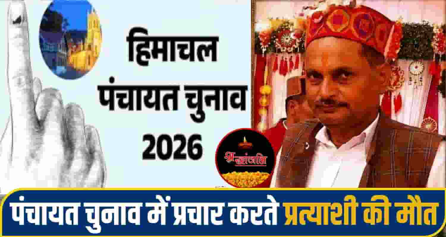 himachal mandi News