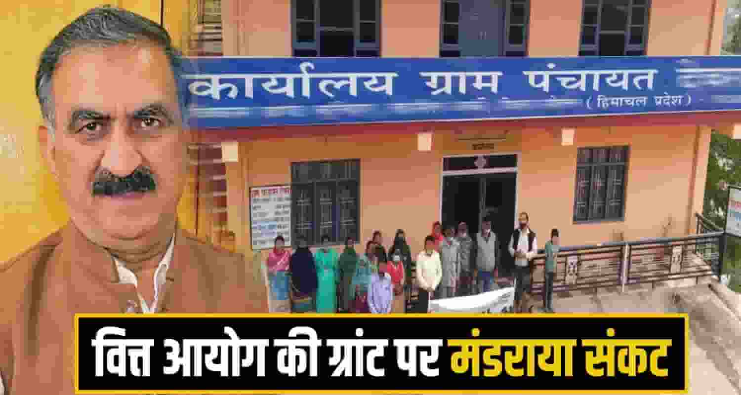 himachal panchyat Election