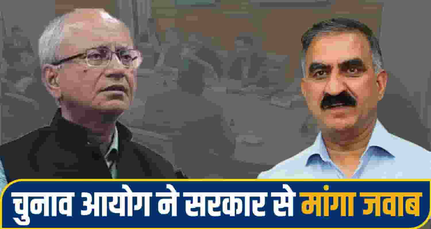 himachal panchyat election