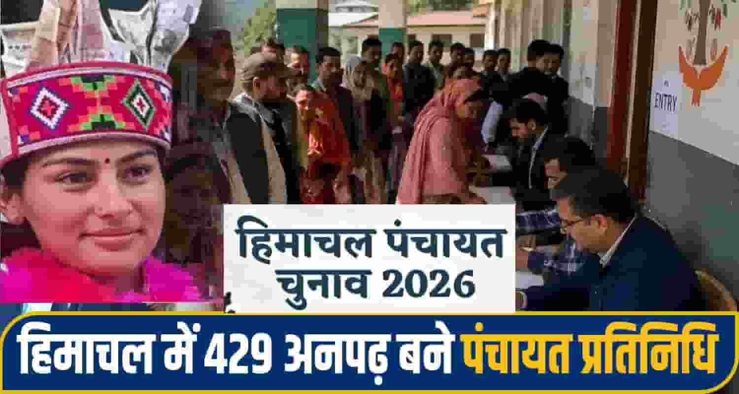 himachal panchyat election