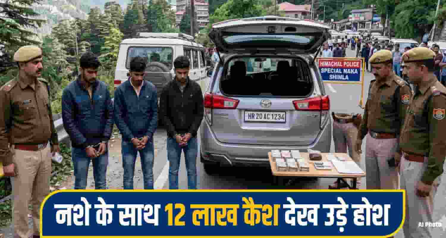 himachal shimla drug