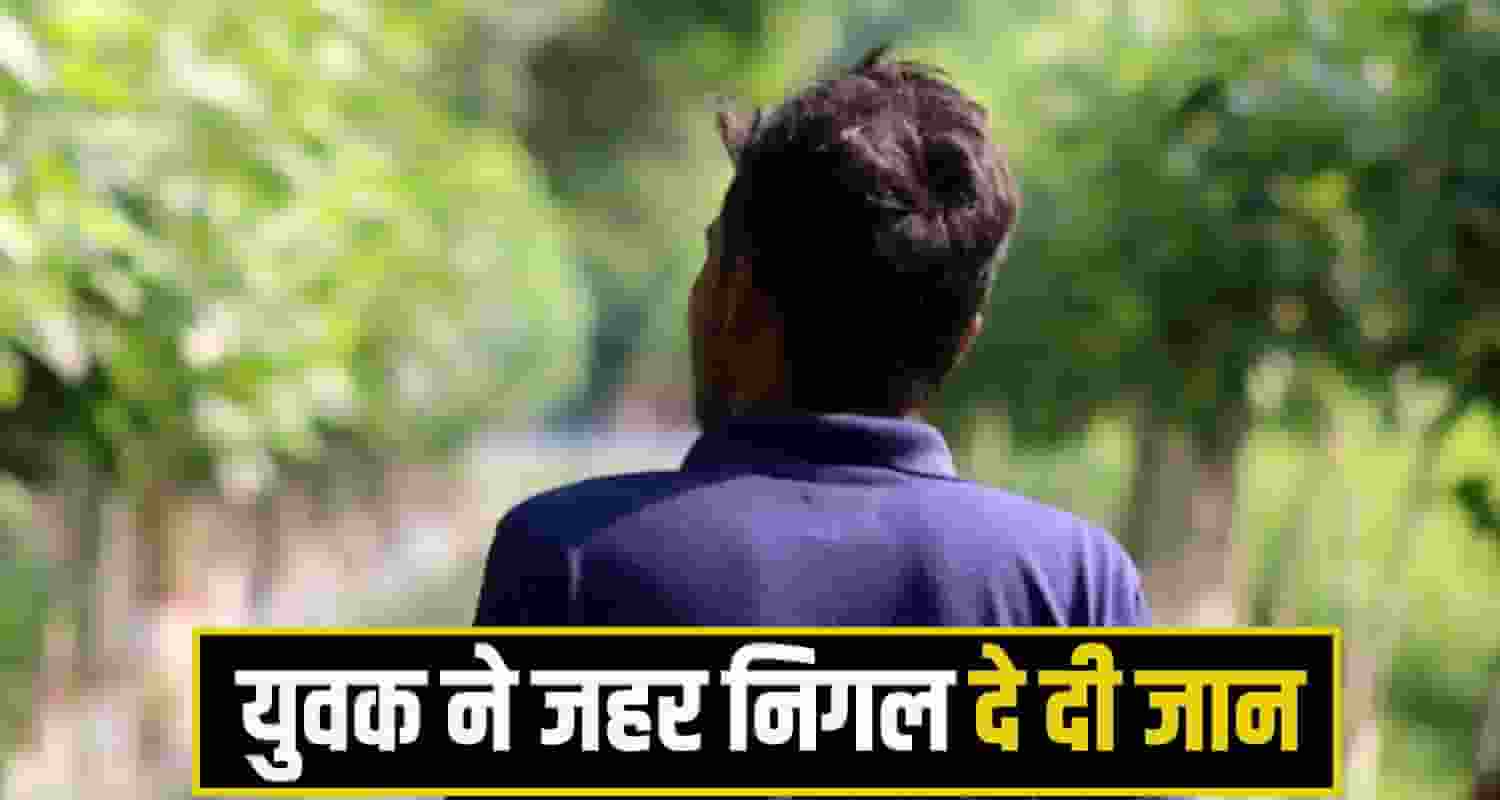 himachal shimla News