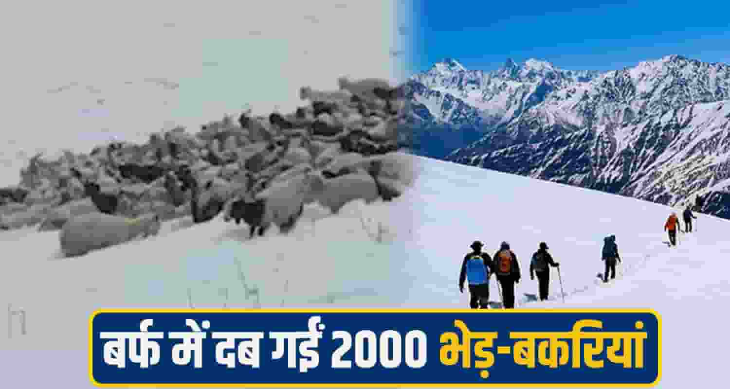 himachal snowfall