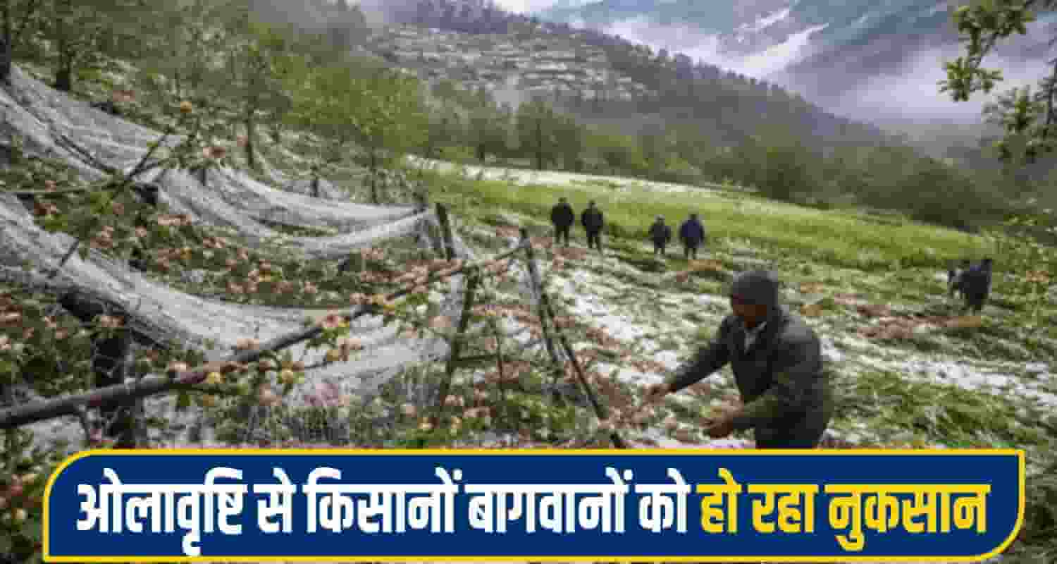 himachal weather 7 april