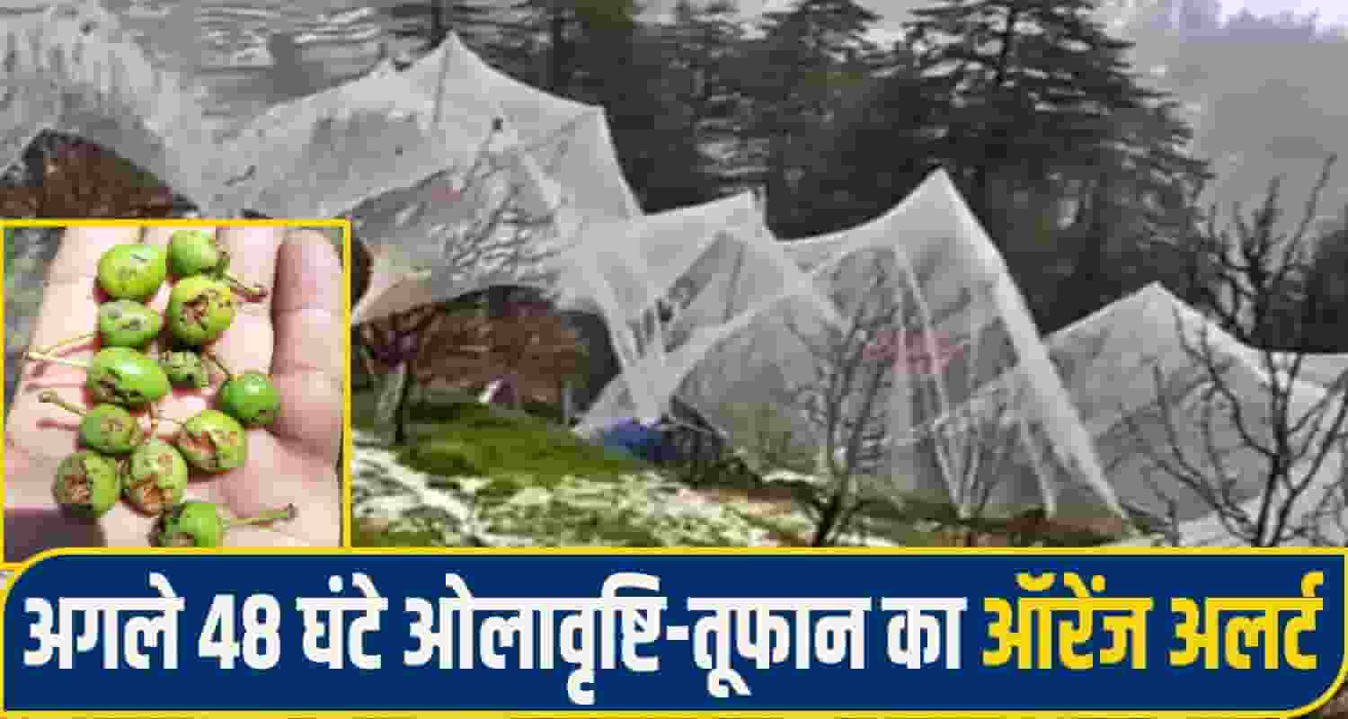 himachal Weather alert