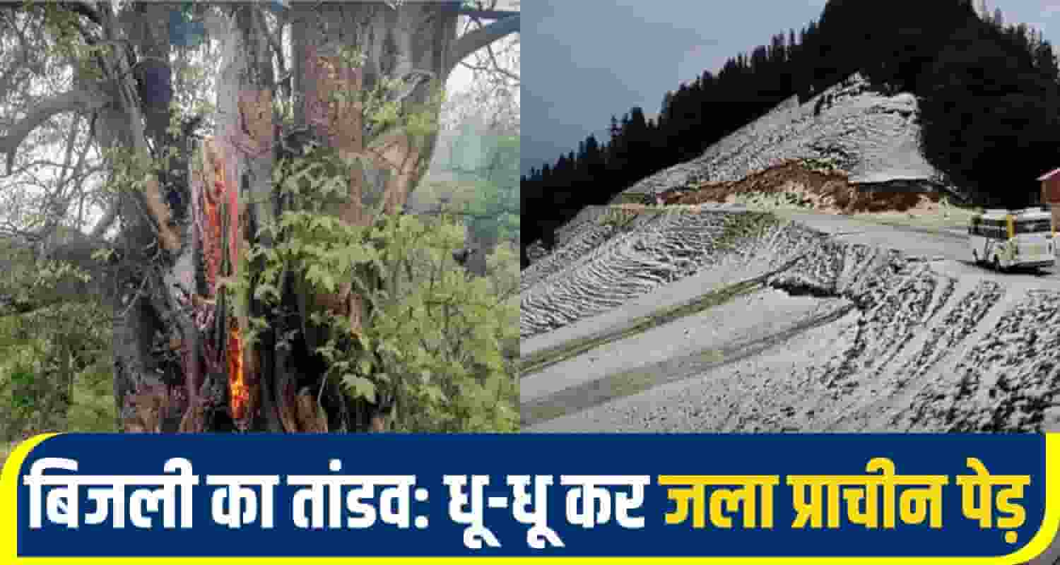 himachal weather alert