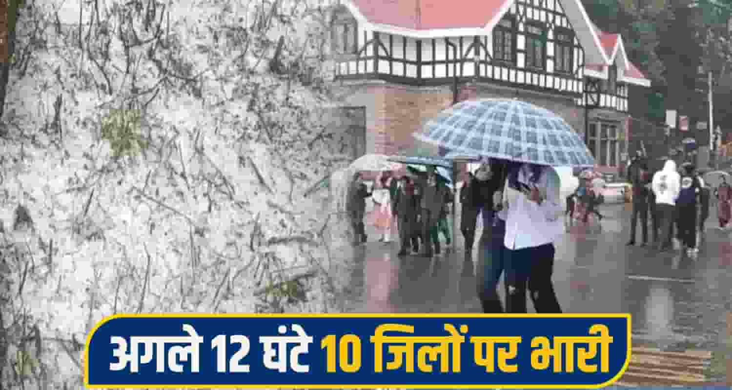 himachal weather alert