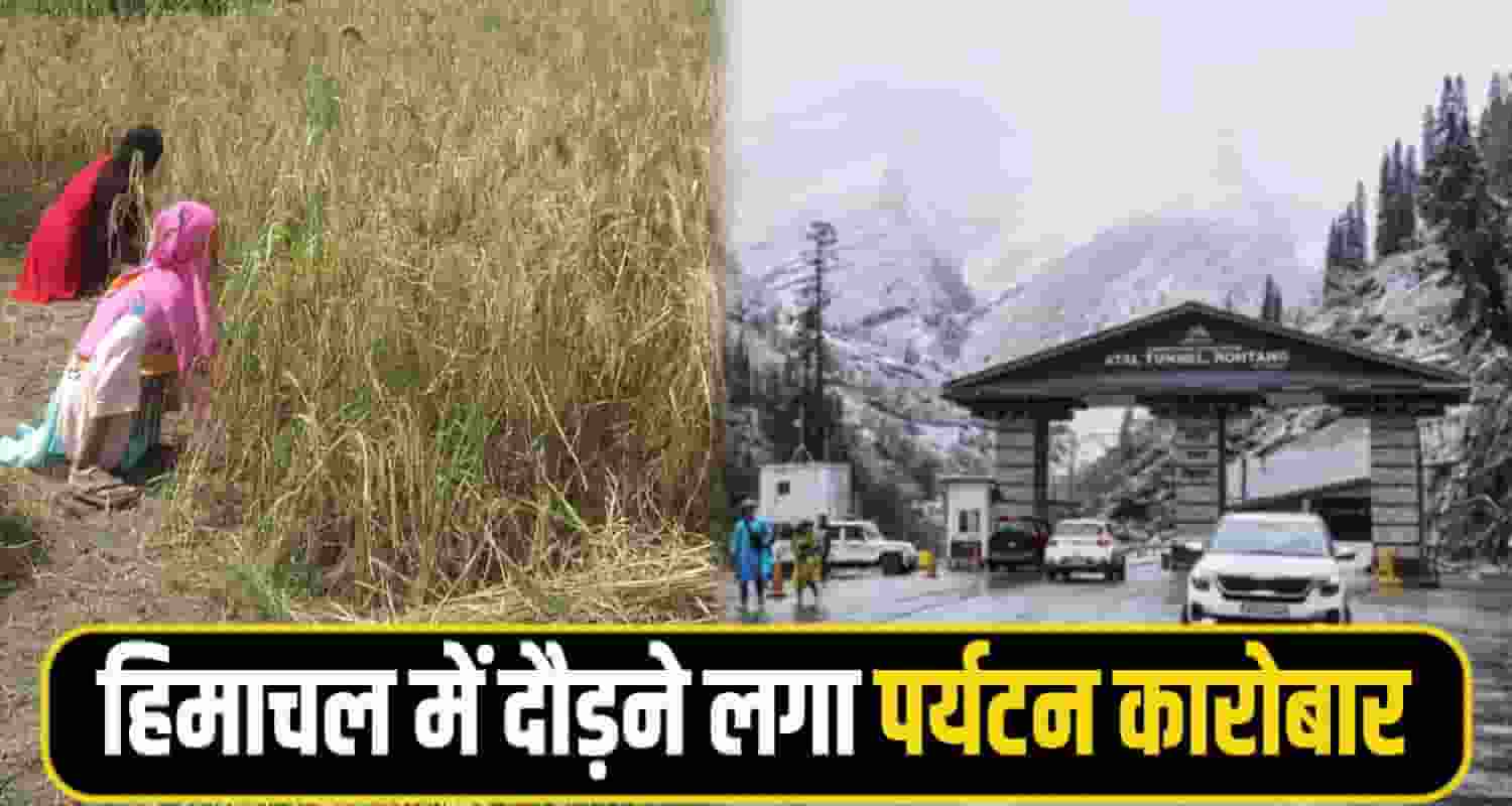 Farmar himachal