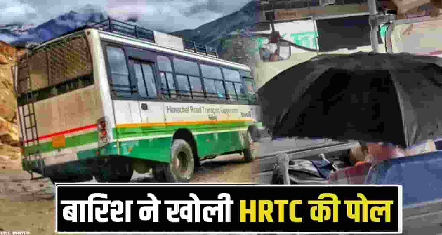 Rain water Umbrella Passengers
