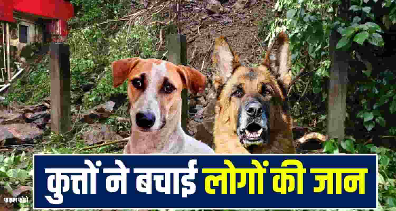 Himachal Dog Landslide Alert
