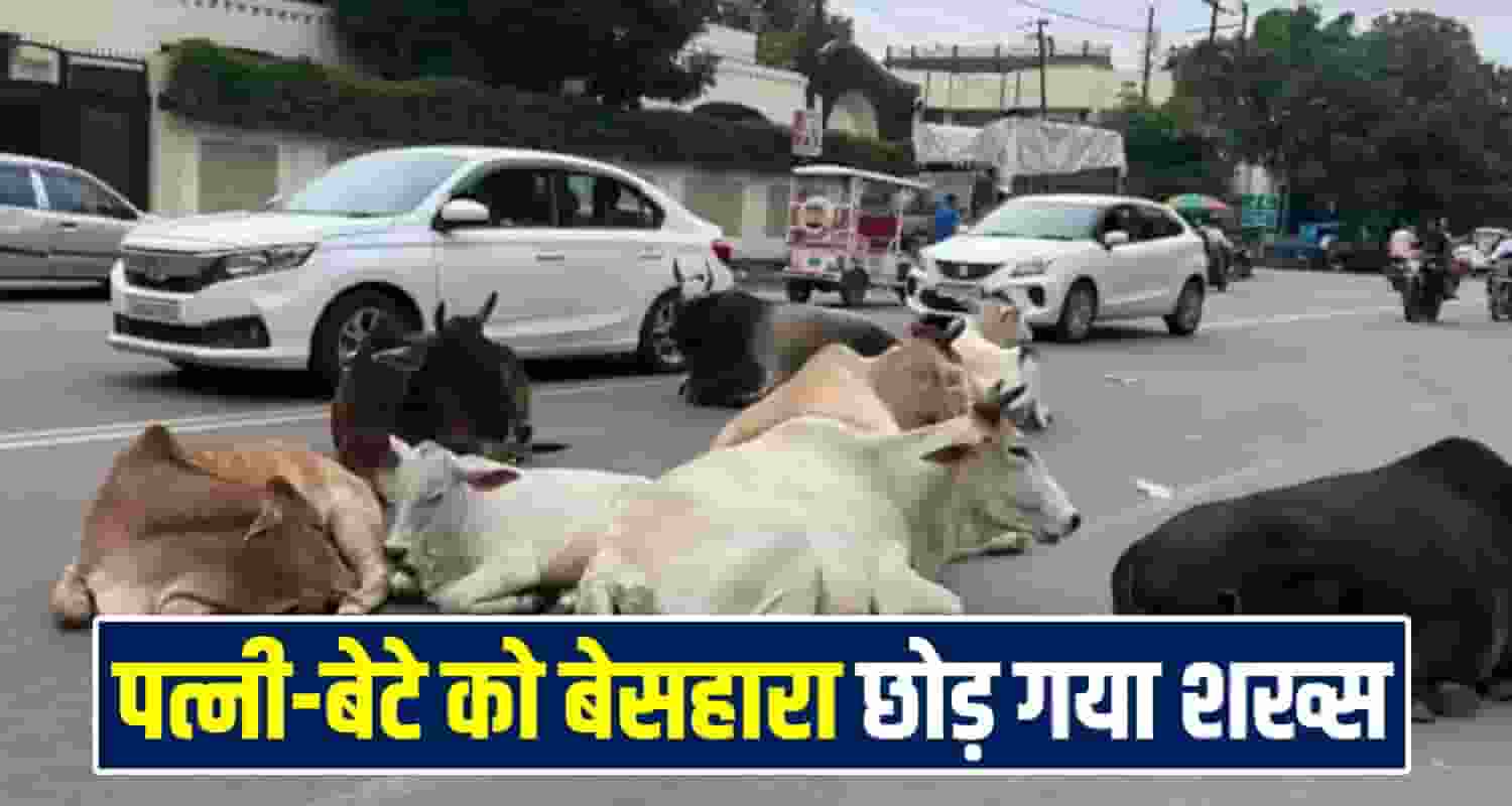 Himachal News